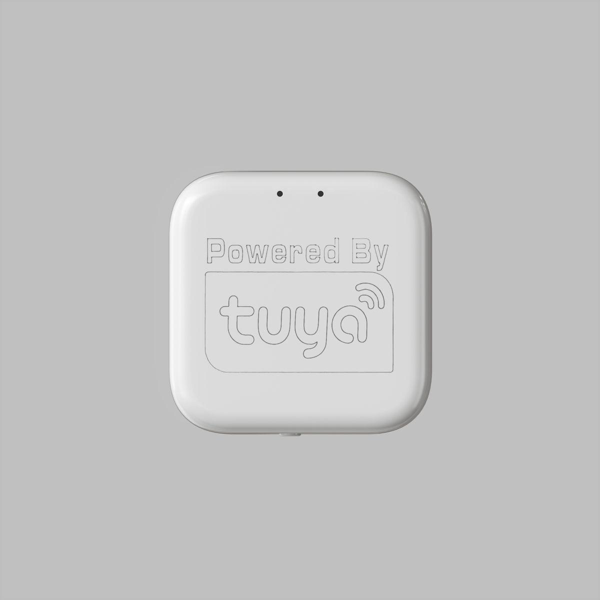 WIFI конвертер Denkirs Smart Control DK7400-WF