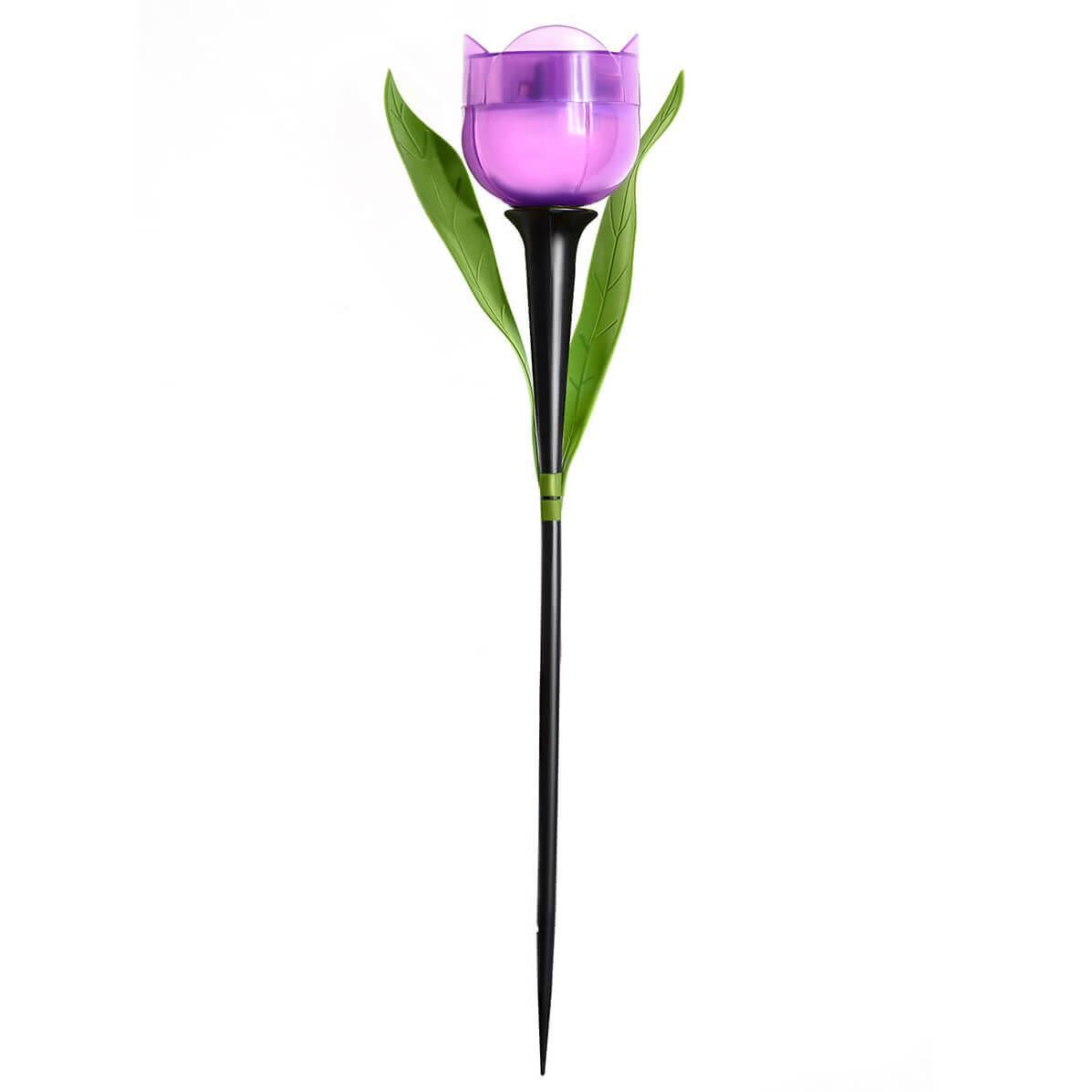     Uniel Promo USL-C-453/PT305 Purple Tulip UL-00004278