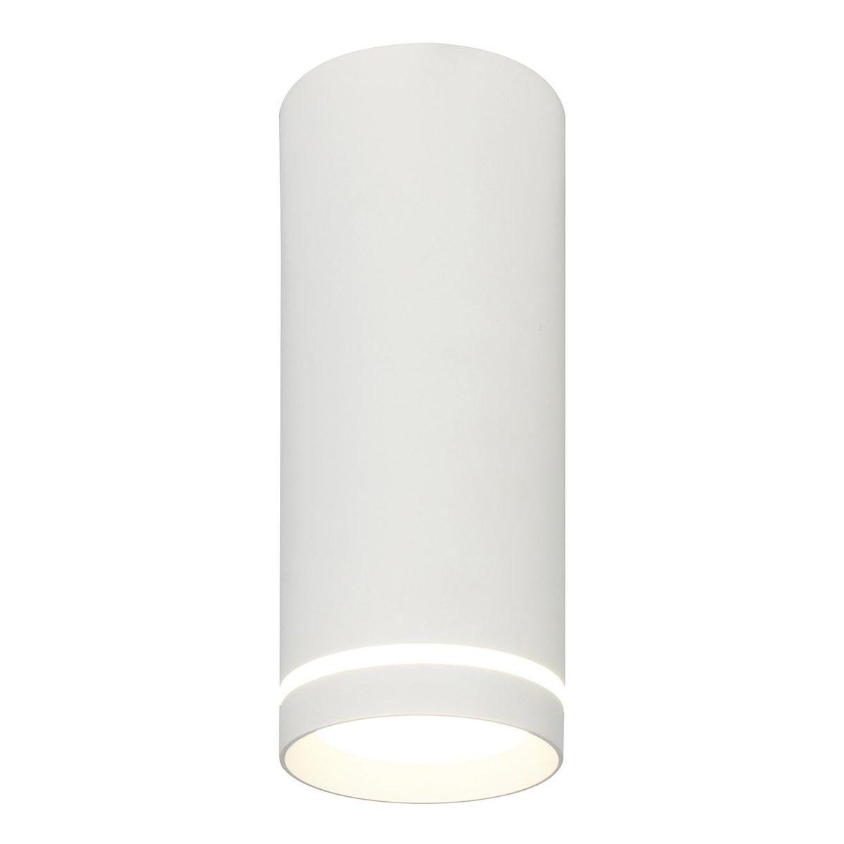 Потолочный светодиодный светильник Escada 20009SMU/02LED SWH