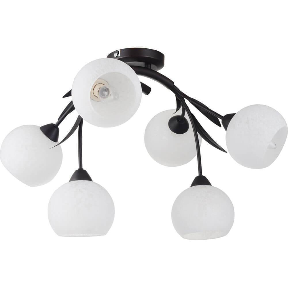   Lussole Bagheria LSF-6283-06