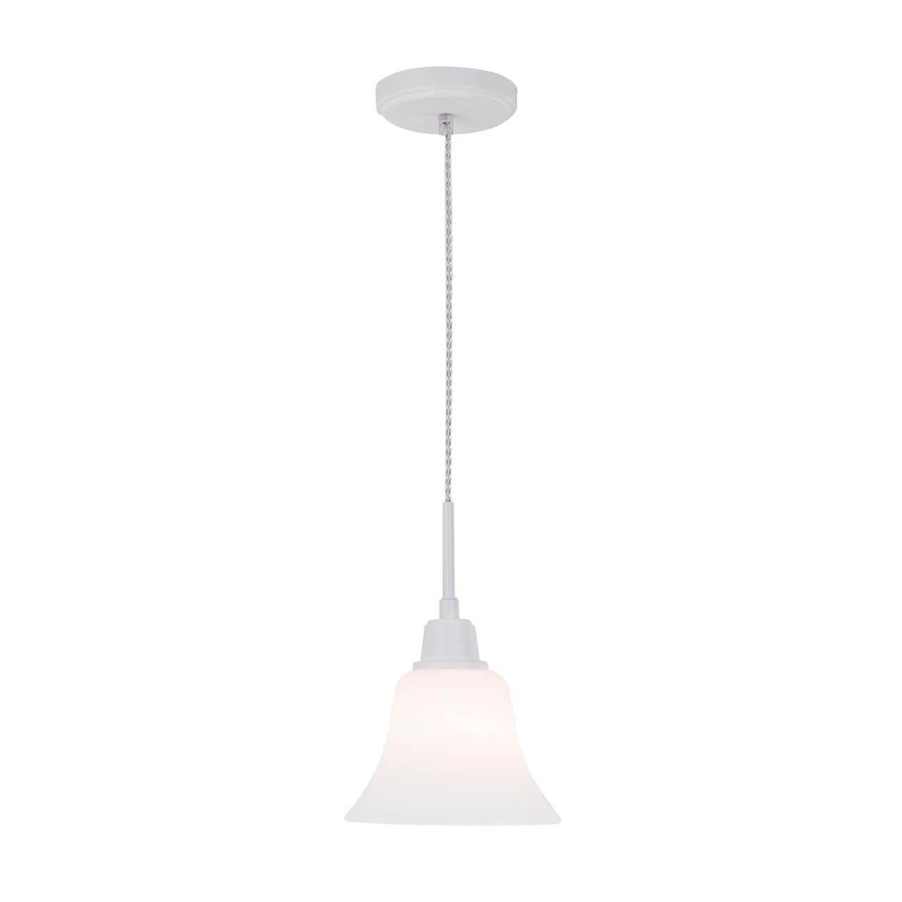   Citilux  CL560110
