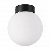Настенно-потолочный светильник Lightstar Globo 812017