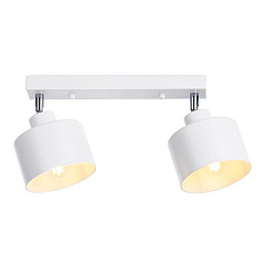  Ambrella light Traditional TR8141