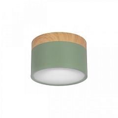 Накладной светодиодный светильник Loft IT Grape 10162 Green