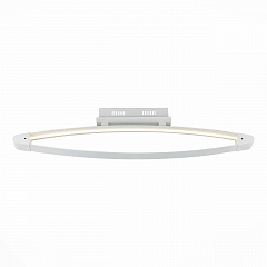 Потолочный светодиодный светильник ST Luce SL920.102.01