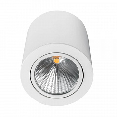    Arlight SP-Focus-R120-16W Day White 021426