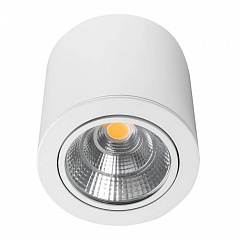    Arlight SP-Focus-R140-30W Day White 021428